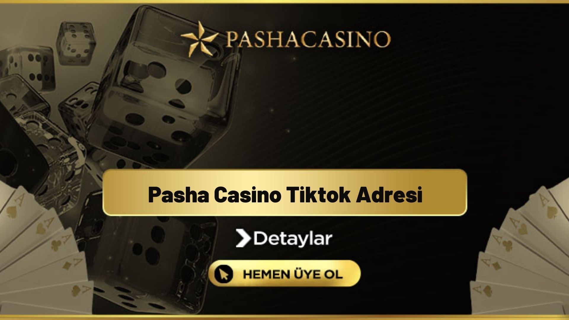 Pasha Casino Tiktok Adresi